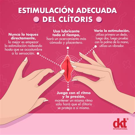 clitoris estimular|El clítoris: qué es, dónde está y cómo estimular el órgano del。